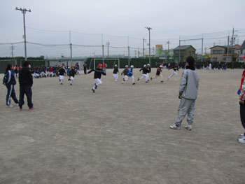 n3.jpg