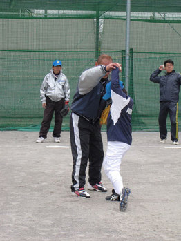 p4.jpg